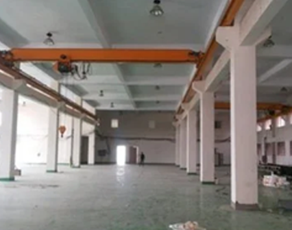 EOT Crane Low Head Room Manufacturer in Bareilly